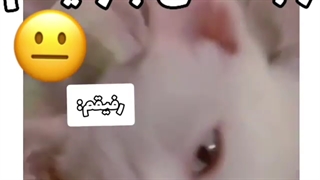 رابطه من با رفیقام...XD