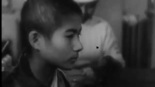 ما چکار کردیم ؟