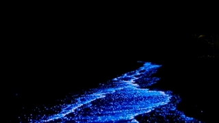 دریا حال منم دریاف نگو دست بردار ..✋