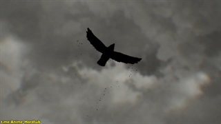 انیمه Shadows House قسمت 13 (آخر)