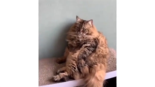 طنز