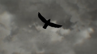 انیمه Shadows House قسمت 13 (اخر) با زیرنویس فارسی