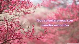 آهنگی که اینروزا بهم آرامش میده ( Sakura از Naotaro Moriyama )