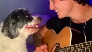 چقدر رمانتیک....