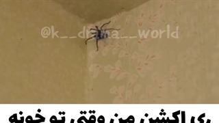 ریکشن منو دوستم وقتی یه حشره میبینیم تو خونه...وای جررر ببینین حتماااا