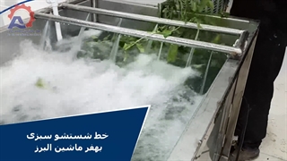 خط شستشو سبزی و میوه بهفر ماشین البرز