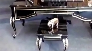 میز مدیریتی کلاسیک MD-35