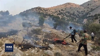 آتشسوزی جنگلها و مراتع «سرگچینه» شهرستان بویراحمد