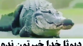 صرفا جهت جر خوردن