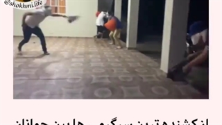 کشنده ترین سرگرمی ها بین جوانان 0: