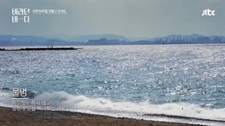 قسمت 1 برنامه کره ای دریای امید Sea of Hope 2021 با حضور اونیو شاینی و کیم گو اون (میهمان : رزی بلک پینک) با زیرنویس فارسی