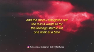 MGMT - Little Dark Age (TikTok Remix) Lyrics | policemen swear to god loves seeping from the guns