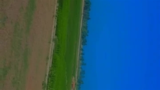 •-• بنگرید عررر طبیعت را... کپ