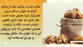 آجیل