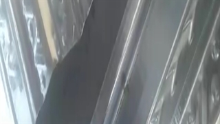 اجرای سقف عرشه فولادی اراک 09121505650