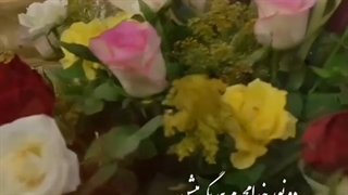 دو نور خدا محرم همدیگه میشن حسین طاهری