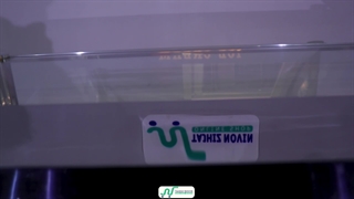 نمونه تاپینگ بستنی طرح LED