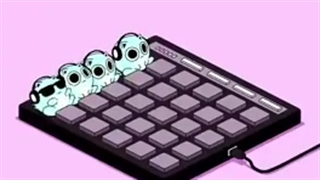 بلک پینک به سبک گربه ای/ کپی به شرط دنبال