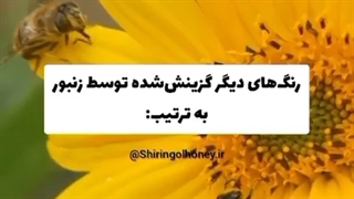 چه رنگ هایی برای زنبور عسل جذاب است؟ _ شیرین گل