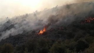 آتش سوزی در کوه خامی گچساران