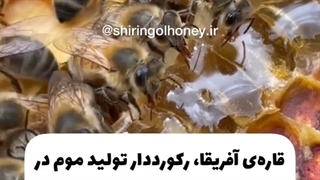 دانستنی های جالب درباره عسل پارت 2 _ شیرین گل