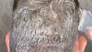 آموزش رنگ کردن موی سفید آقایون در خانه