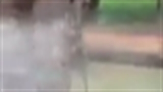 طنز اسب روانی-144p