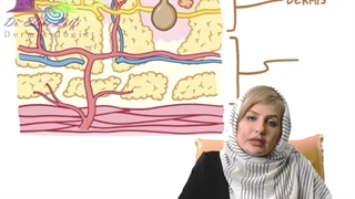 آیا تا به حال اسم بیماری لک و پیس چیزی شنیده اید ؟