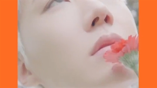 BTS 'Permission to Dance♡{정호석}