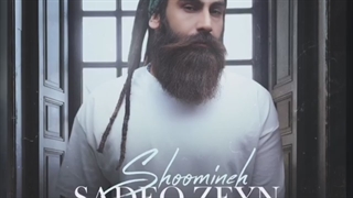 دانلود تیزر تصویری آهنگ صادق زین به نام شومینه