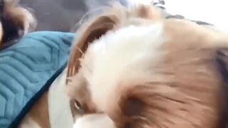 on twt {방탄소년단}♡{정호석}