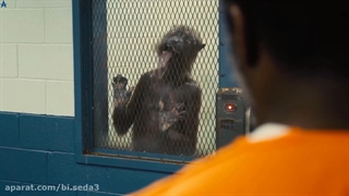 تیزر دیدنی فیلم جوجه انتحاری ۲ درکانالمون ببینین همین الان لینک داخل توضیحات