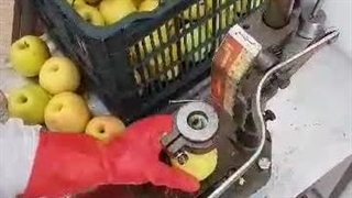 دستگاه هسته مناسب انواع میوه جات _ 09924634894