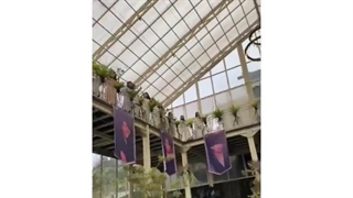 ما آرمی ها وکی پاپرا از عروسیمون همچین تصوری داریم♡♡