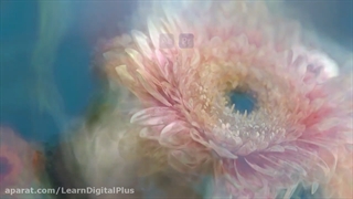 اسکریپت SplitBlur