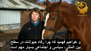 رفاه و رفتار حیوانات