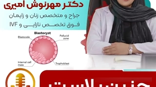 موضوع : جنین بلاست چیست؟ ( دکتر مهرنوش امیری)