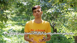چای و عسل