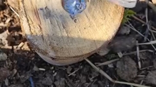 #ماما/توضیحی ندارم خودتون ببینید^^