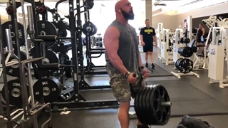 شراگ روگ Rogue Shrug