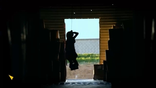 تیزر معرفی آثار خانه مستند، ساخته شده در استودیو رامکا