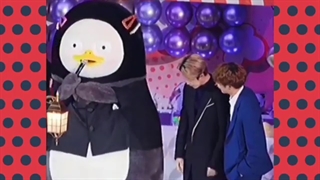 کیوتچه های بنگتن