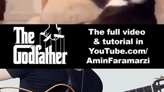 The Godfather cat گربه پدرخوانده  - گیتار : امین فرامرزی