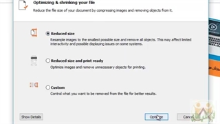 فشرده سازی فایلهای پی د ی اف درنسخه نیترو