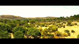 دانلود فیلم ۲۰۲۰ Rogue با زیرنویس فارسی چسبیده