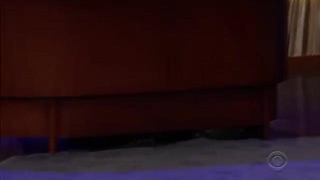 قایم موشک با اعضای بی تی اس