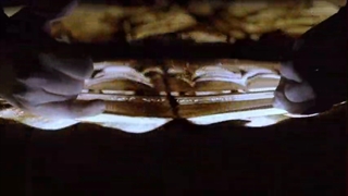 به هوای علی (ع) _ جدیدترین اثر هنری فاطمه عبادی به مناسبت عید غدیر