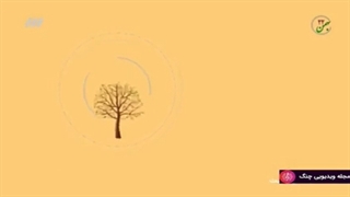 آشنایی با انواع پسته ایران