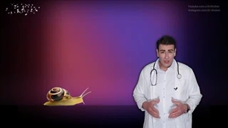 درمان زودانزالی در خانه - Premature Ejaculation Treatment at Home - EN RU Sub 4k