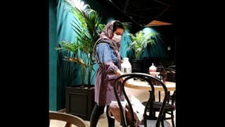 نگهداری گیاهان فست فود